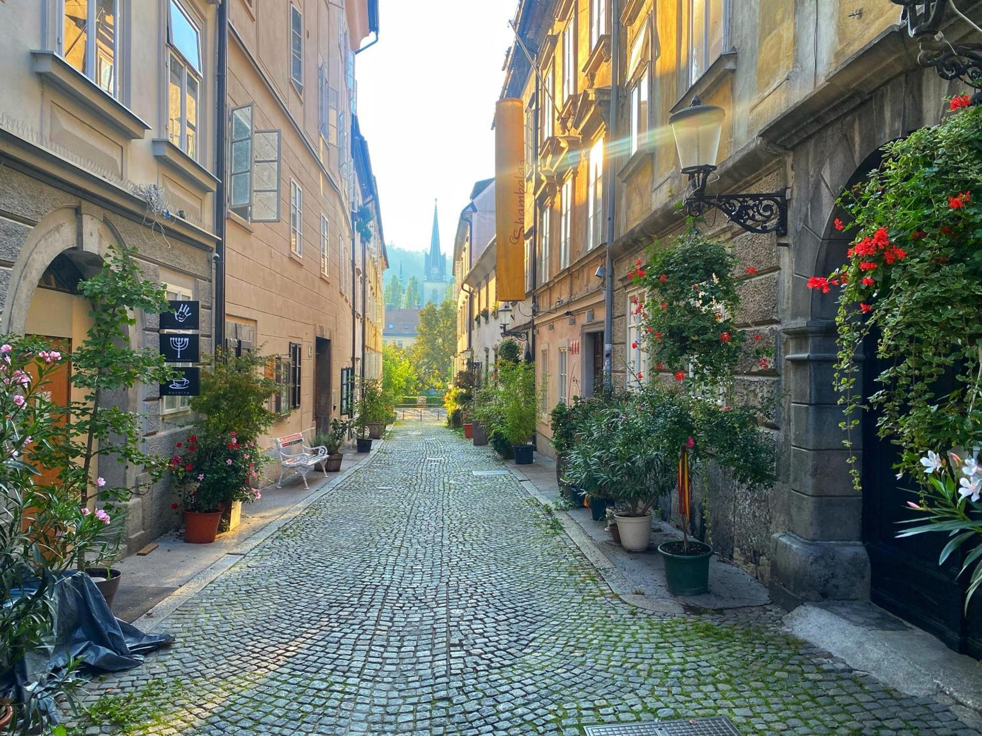 1Br Apartment On The Most Beautiful Street In Ljubljana Center Kültér fotó